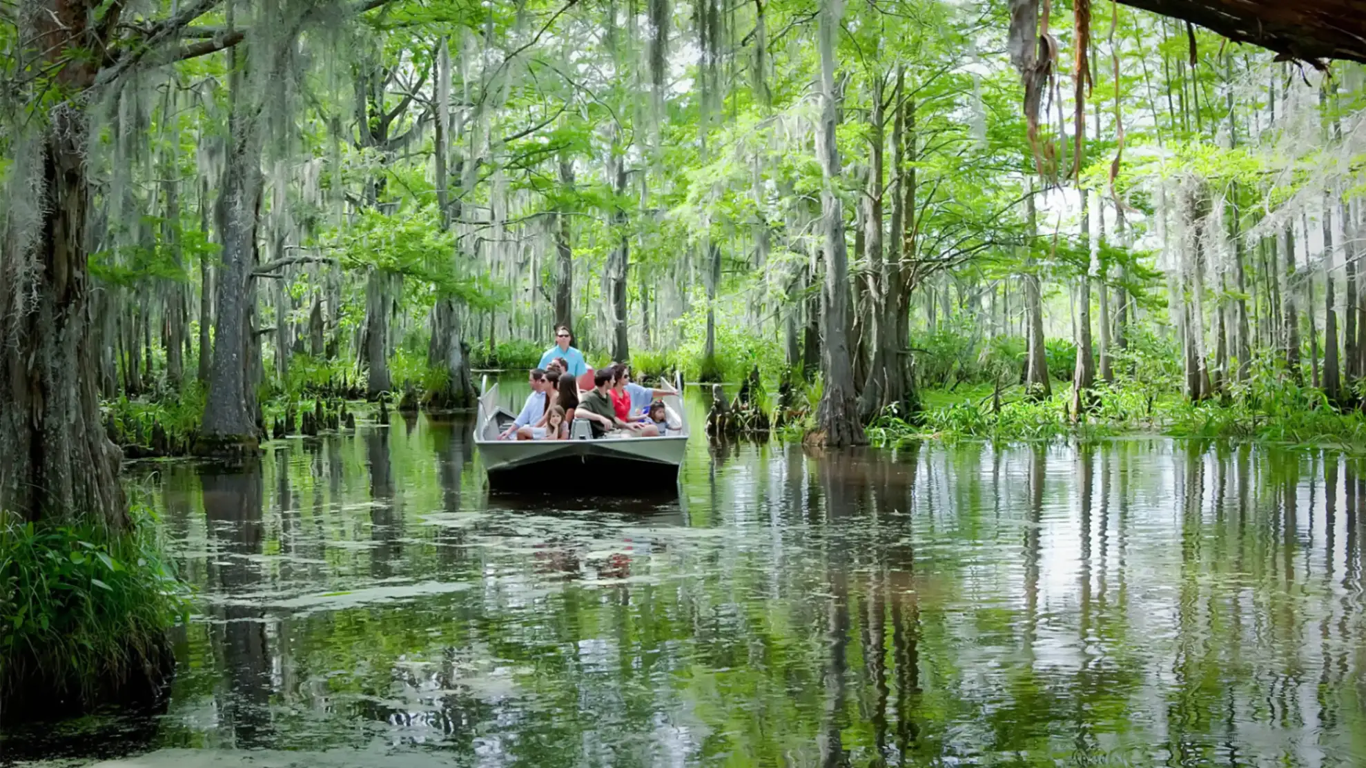 Cajun Encounters